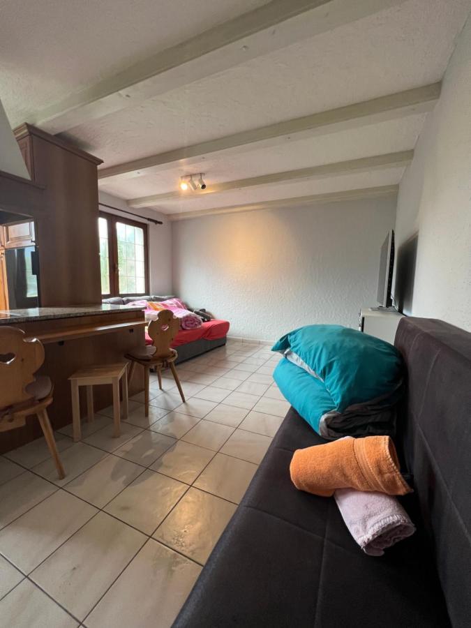 Tiny Apartment With Amazing View, Garden & Terras Schattdorf Екстер'єр фото